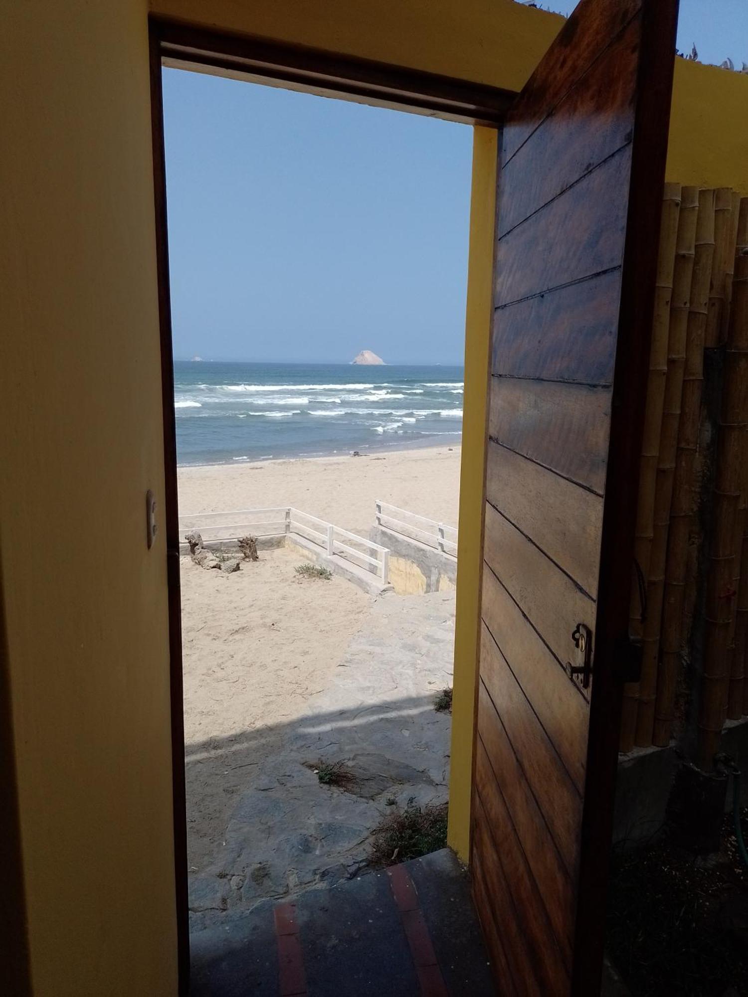 Surf & House